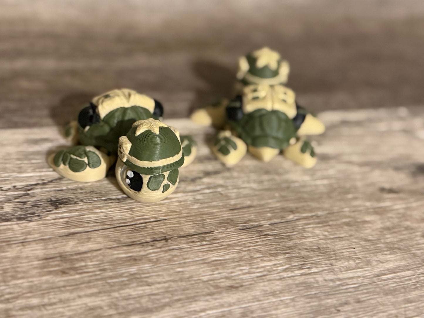 Military Turtle (Army)